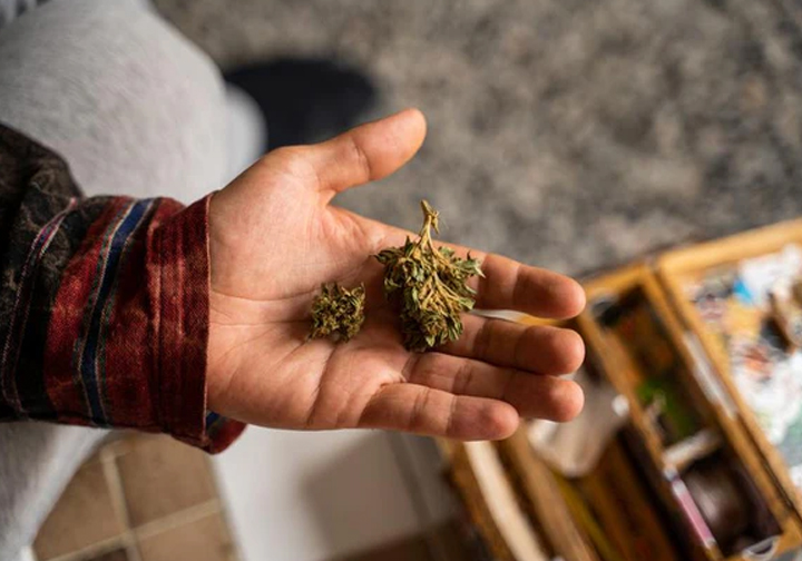 Ways to Prevent Marijuana from Being Dried Out